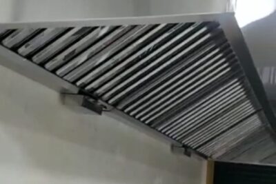 Extractor industrial 2