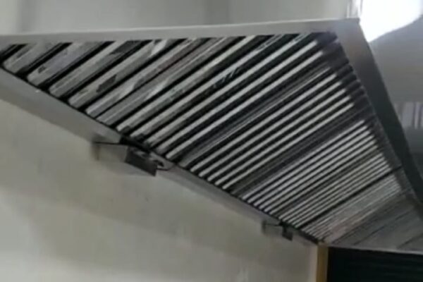 Extractor industrial 2